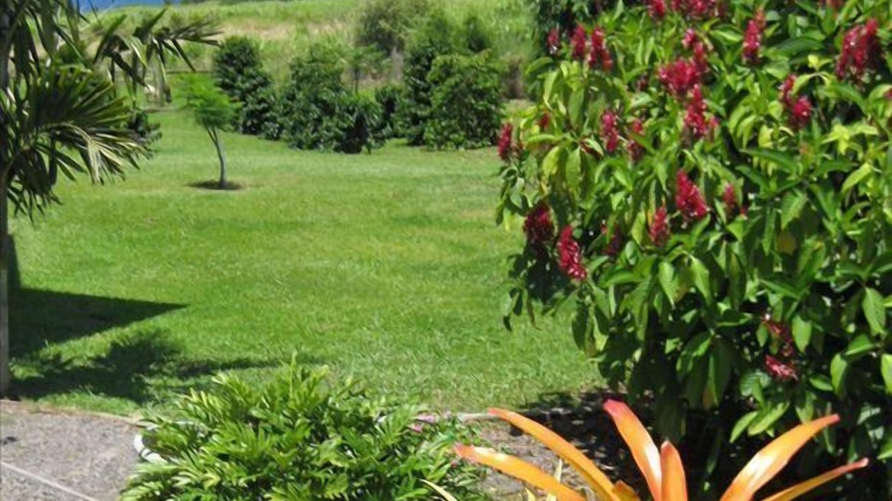 Photo of Outdoor in Ninole