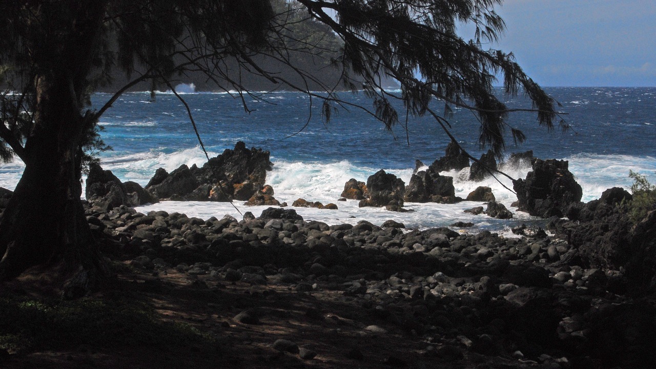 Photo of Others in Ninole