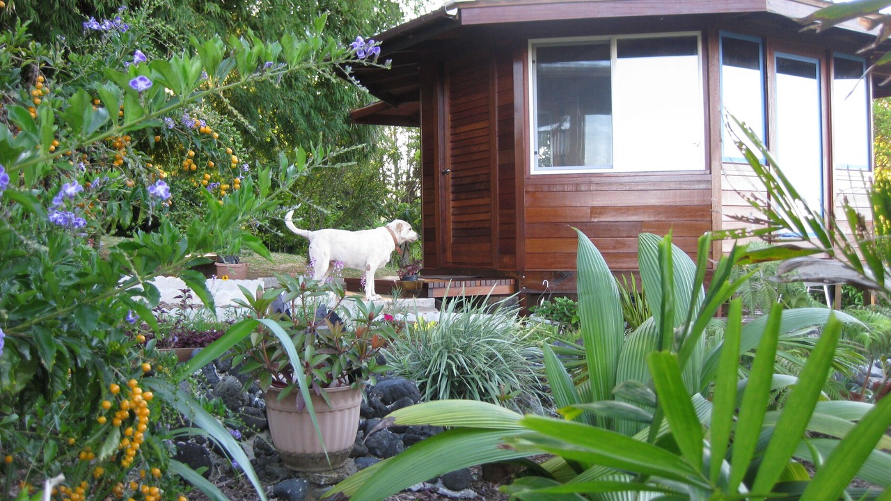 Photo of Outdoor in Ninole