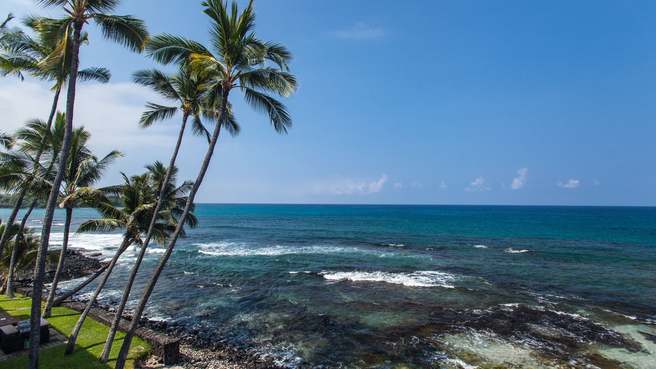 Photo of Others in Kailua-Kona