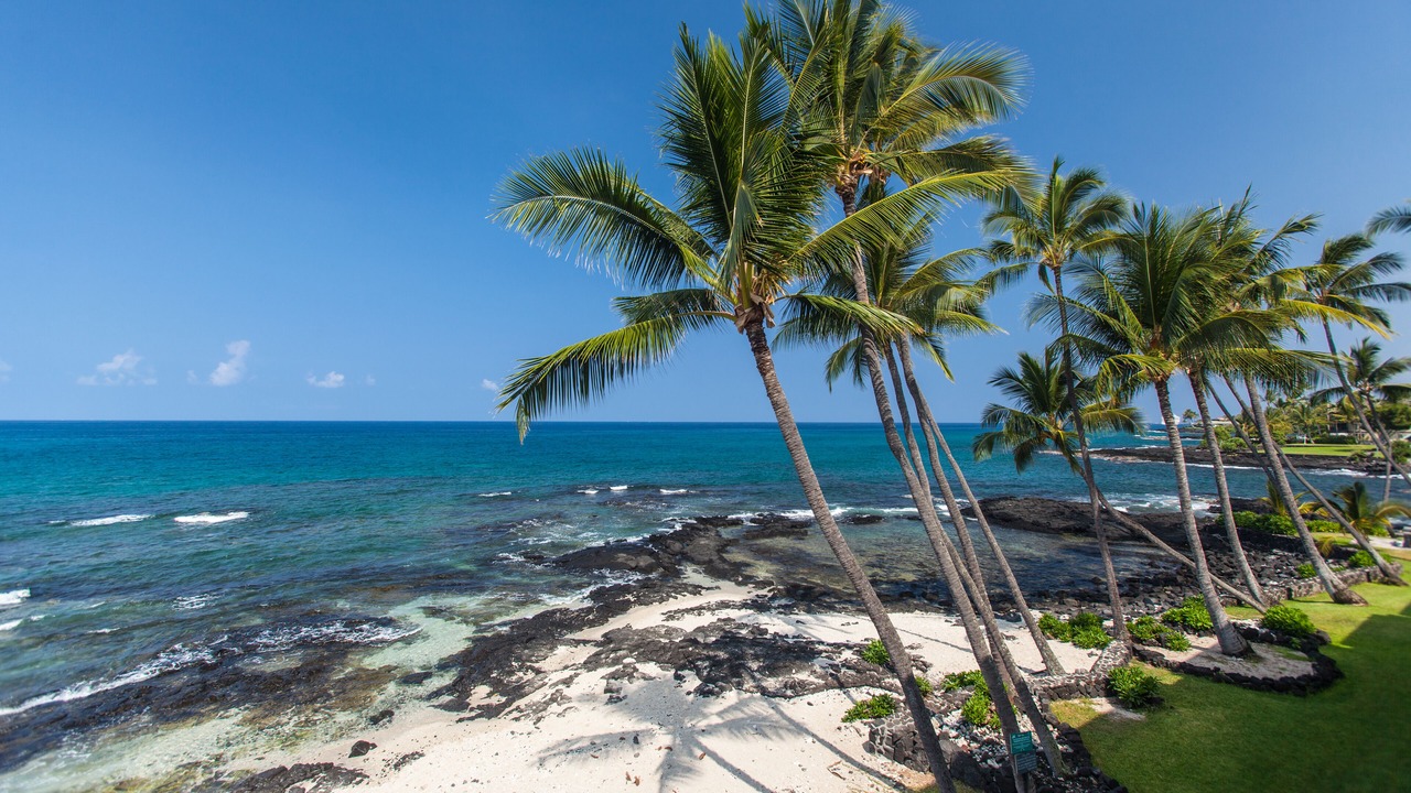 Photo of Others in Kailua-Kona
