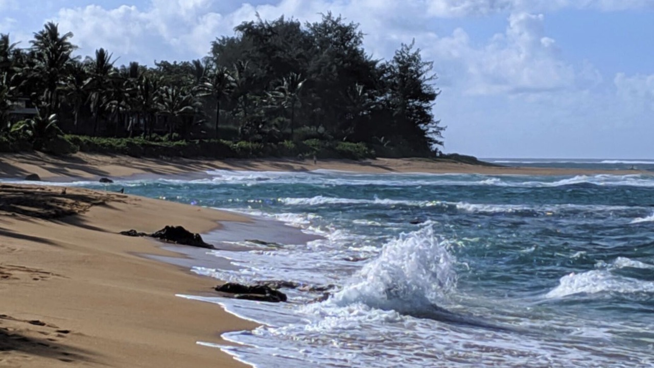 Photo of Others in Hanalei