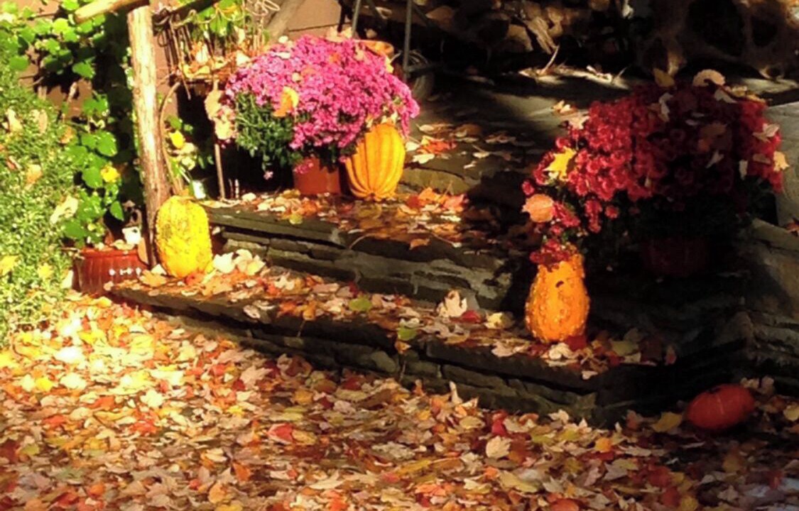 Photo of Outdoor in Woodstock
