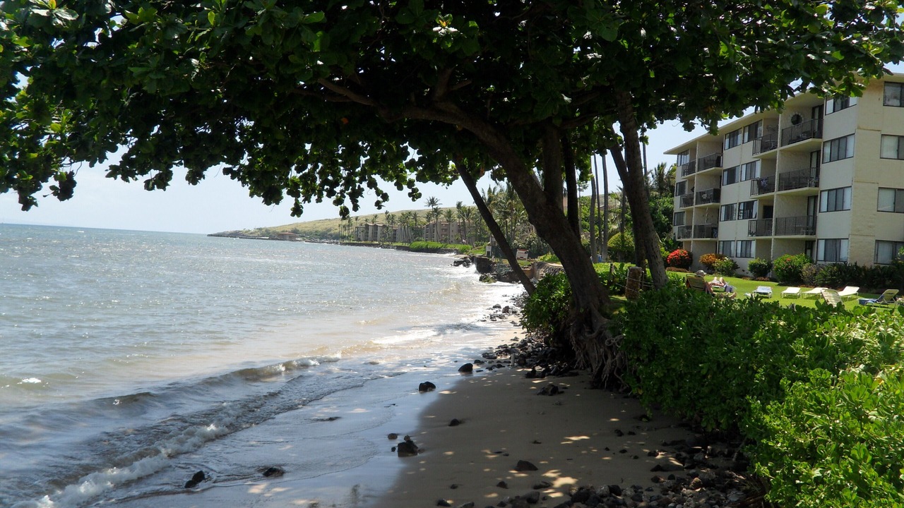 Photo of Others in Maalaea