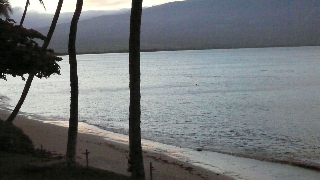 Photo of Others in Maalaea