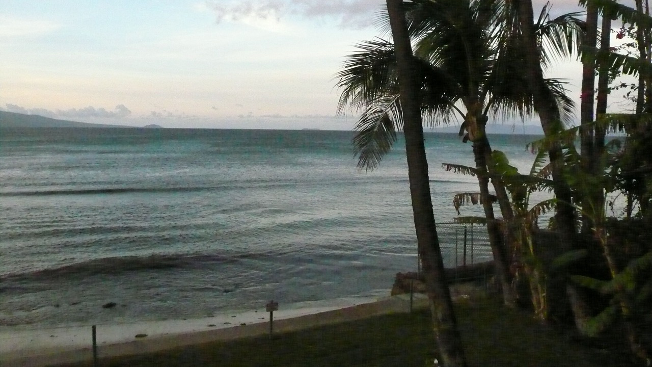 Photo of Others in Maalaea