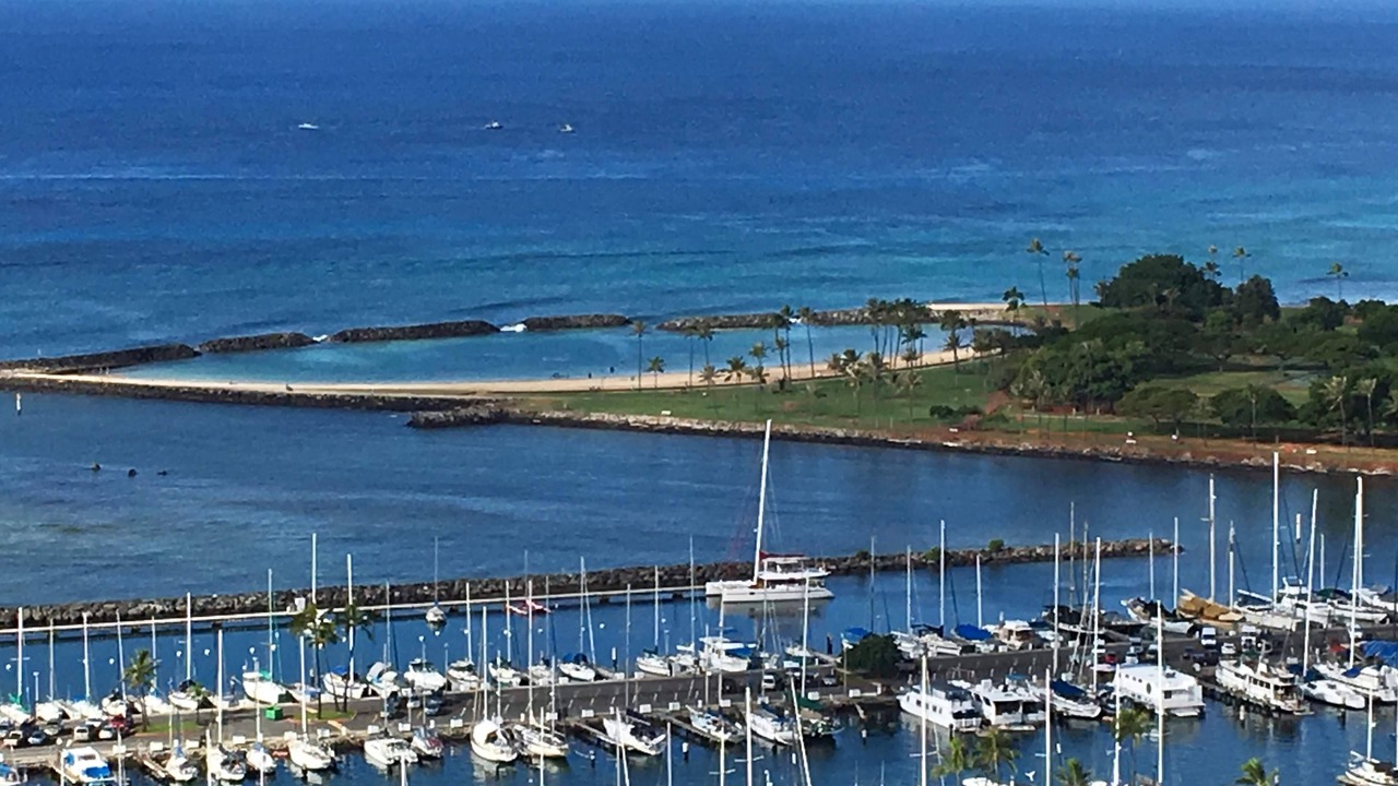 Photo of Others in Waikiki