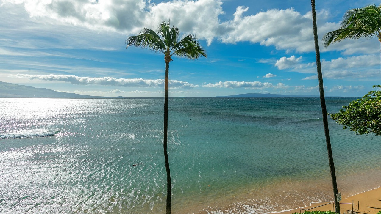 Photo of Others in Maalaea