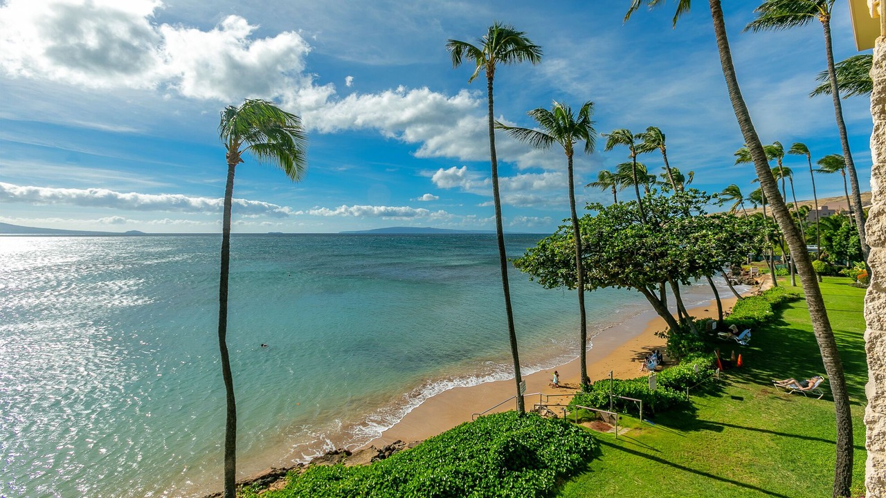Photo of Others in Maalaea