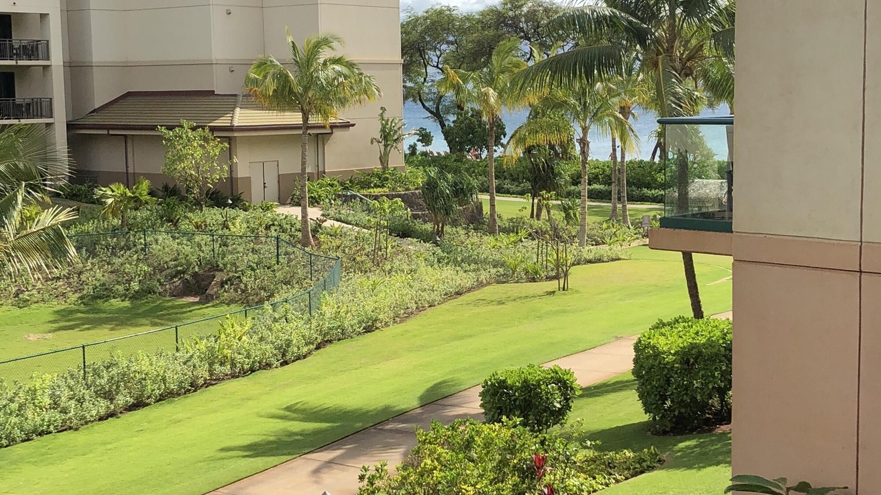 Photo of Outdoor in Honokowai