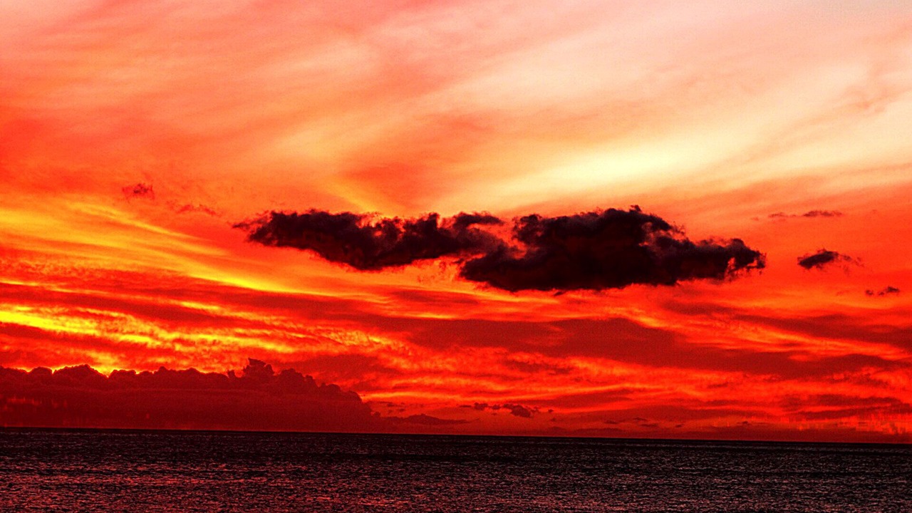 Photo of Others in Makaha
