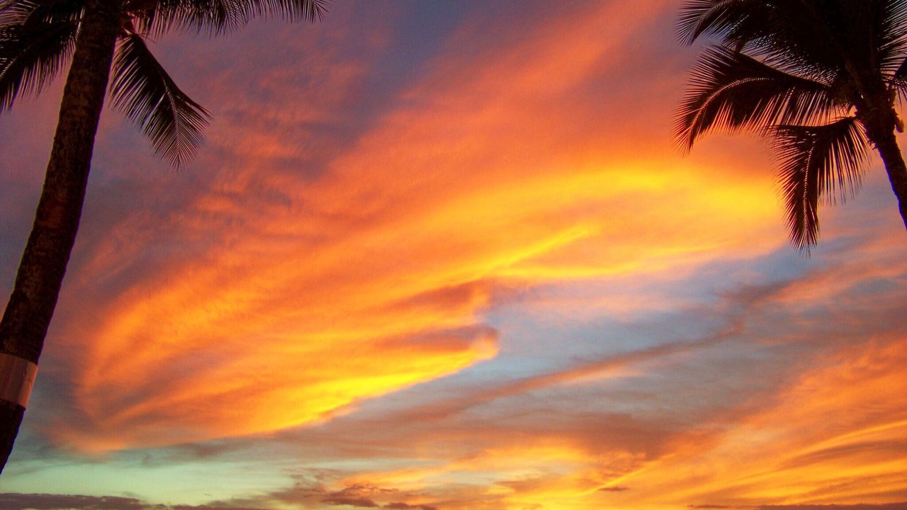 Photo of Others in Makaha