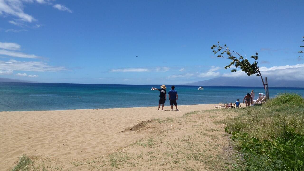 Photo of Others in Honokowai