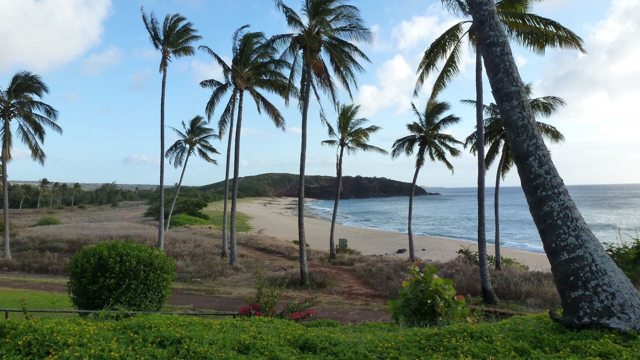 Photo of Others in Maunaloa