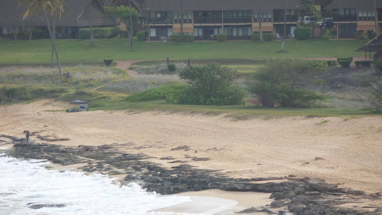Photo of Others in Maunaloa