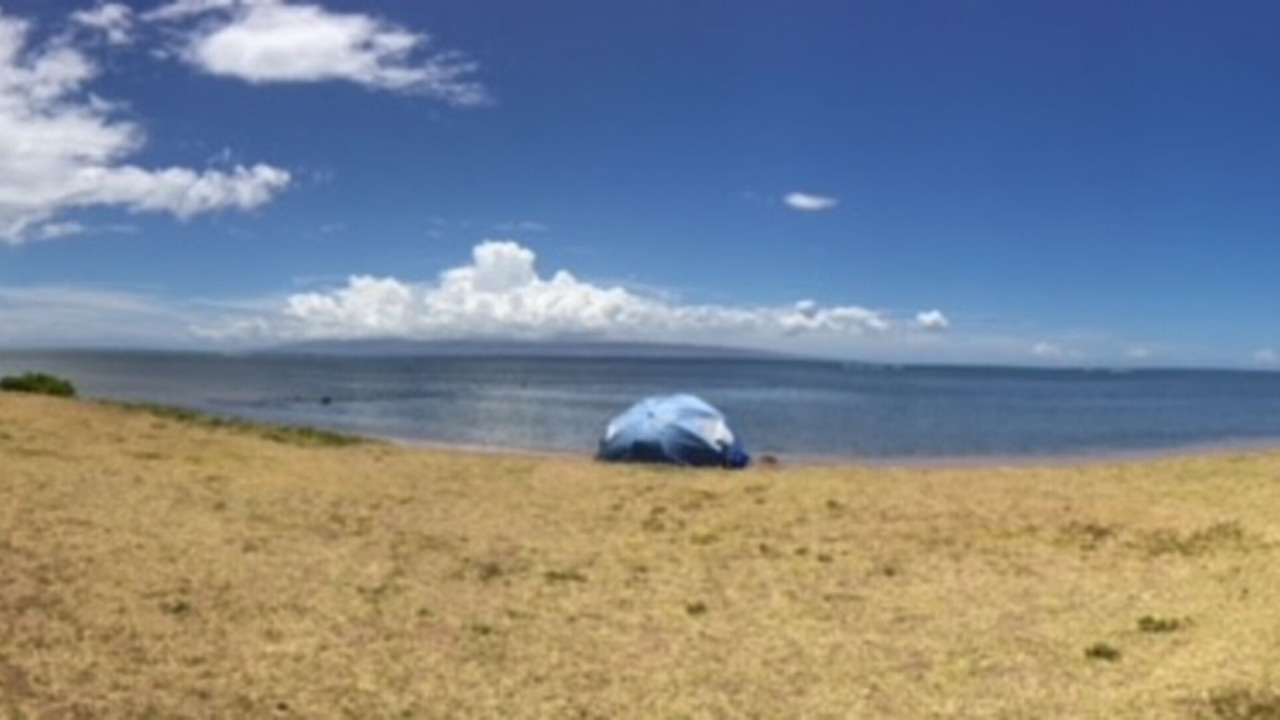 Photo of Others in Maunaloa
