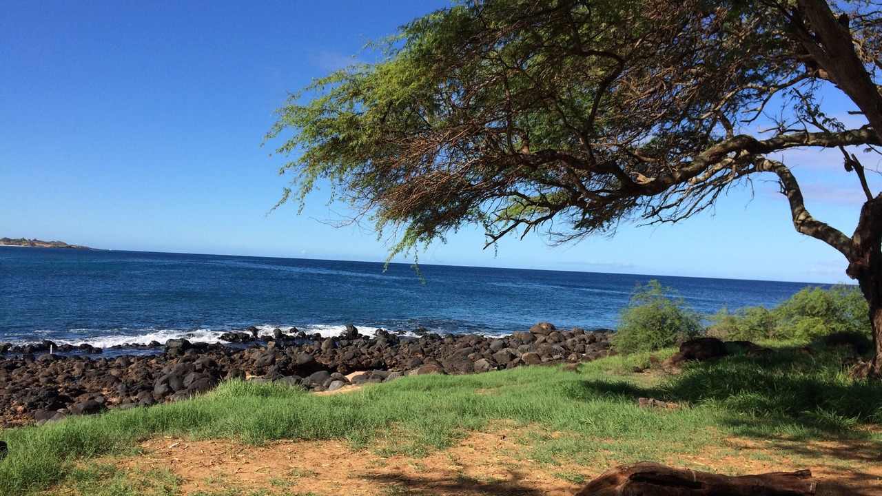 Photo of Others in Maunaloa