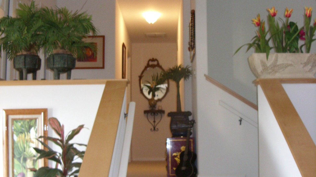 Photo of Bedroom in Maunalani Heights