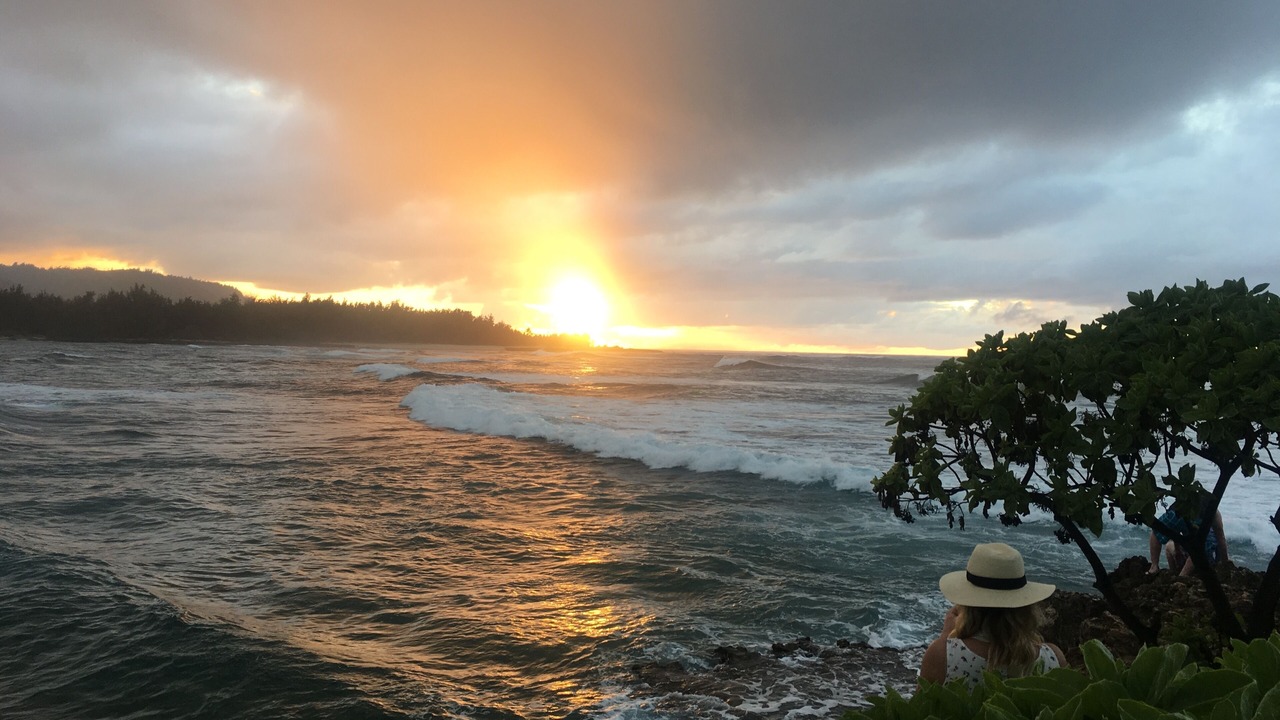 Photo of Others in Maunalani Heights
