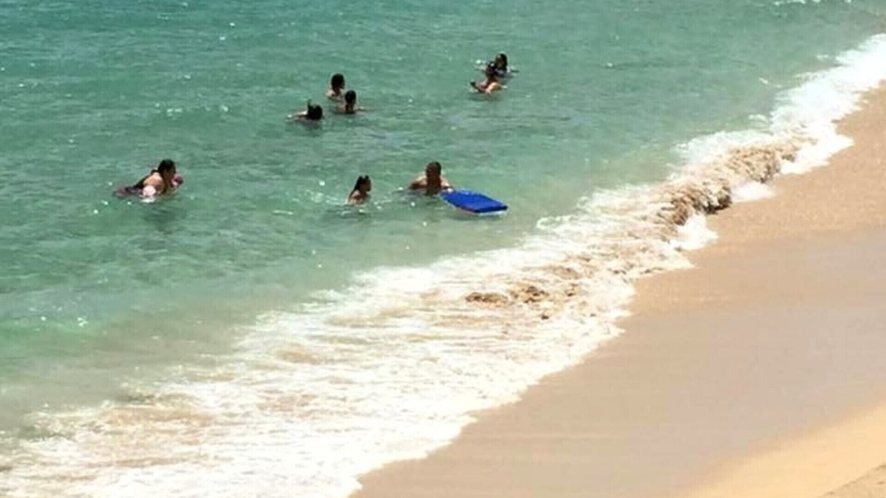 Photo of Others in Waianae