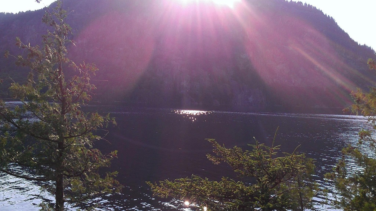 Photo of Others in Beaver Cove