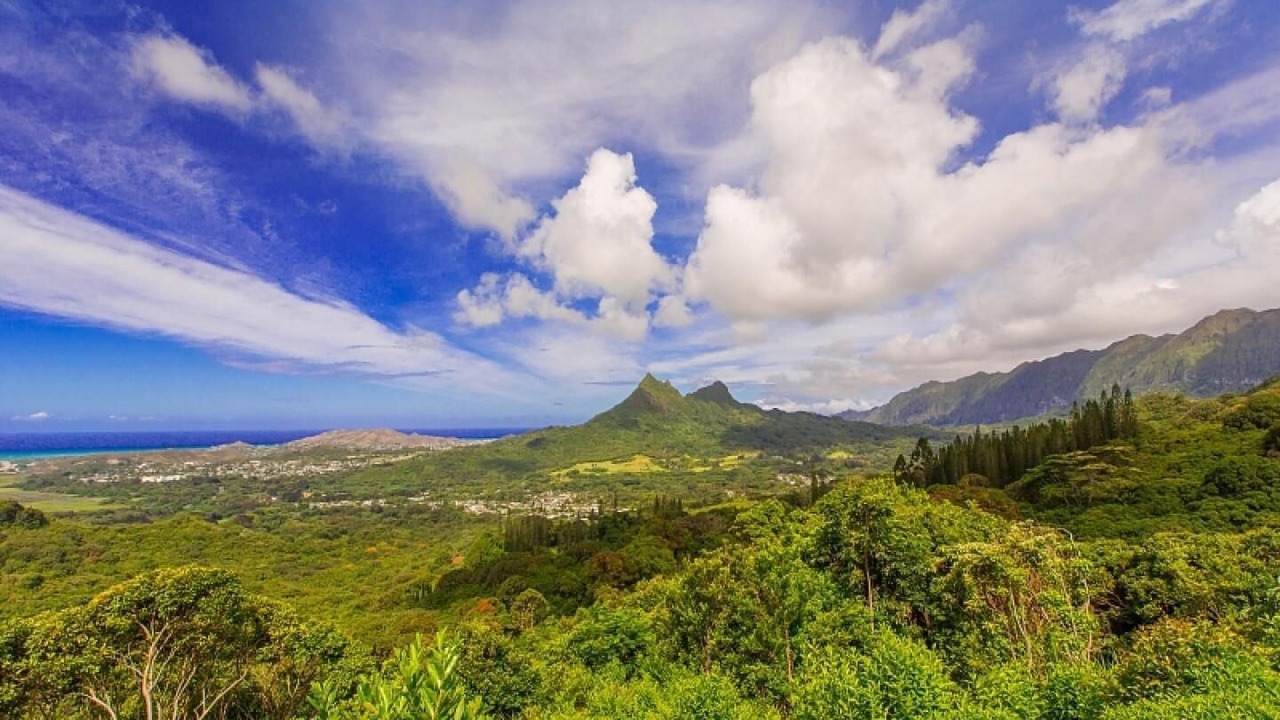 Photo of Others in Lanikai