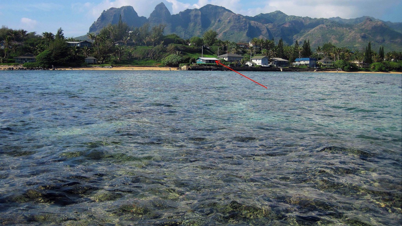Photo of Others in Anahola