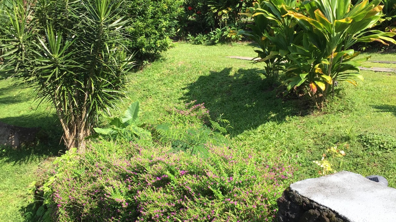 Photo of Outdoor in Keaukaha
