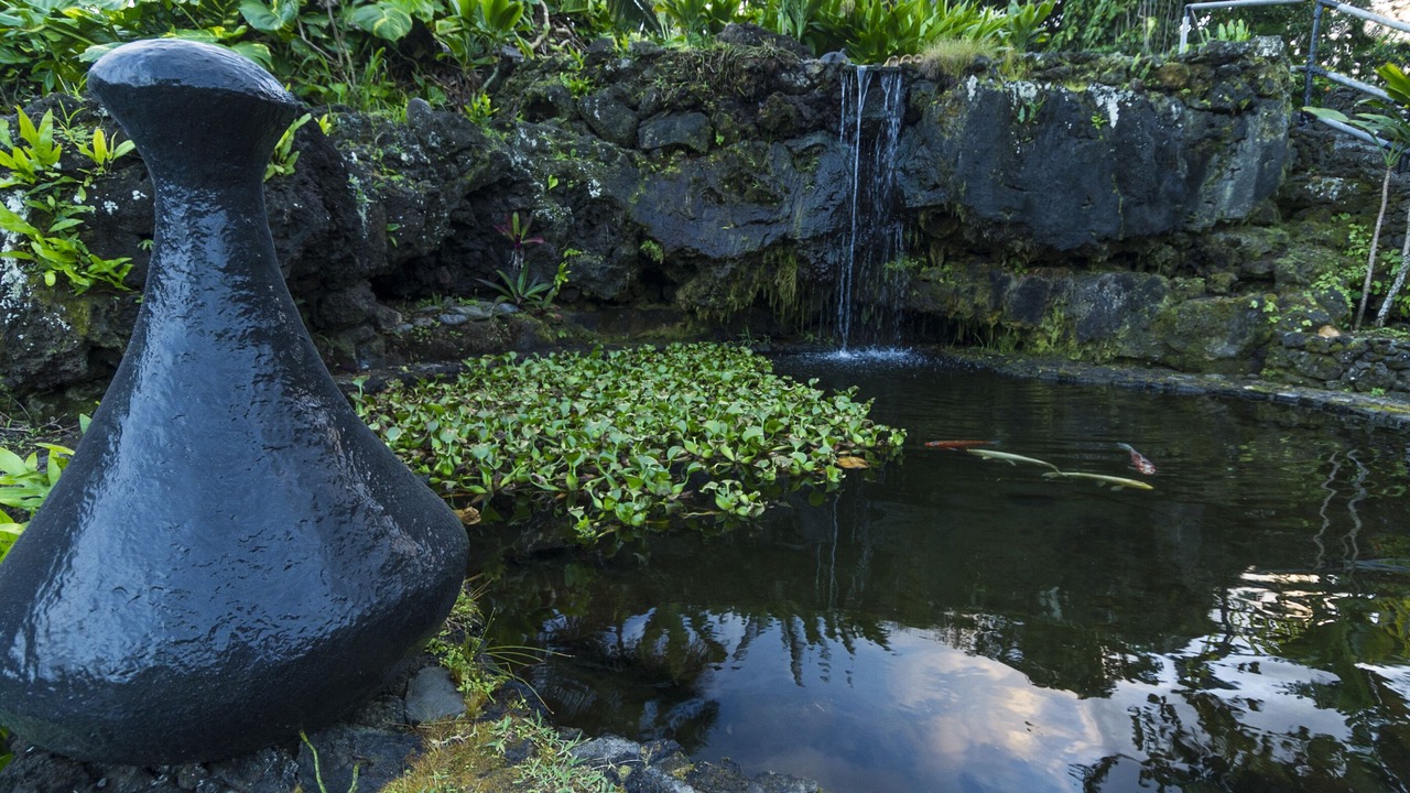 Photo of Outdoor in Hana