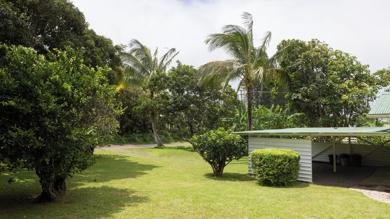 Photo of Outdoor in Hawi