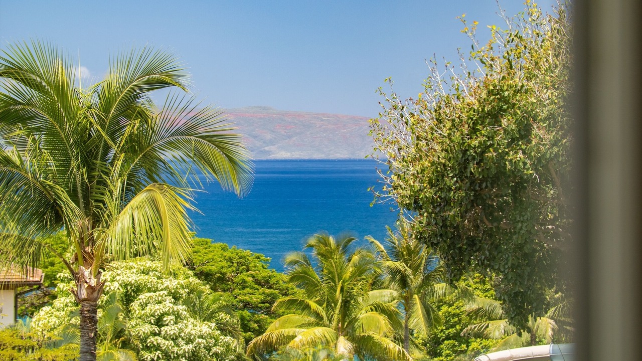 Photo of Others in Wailea