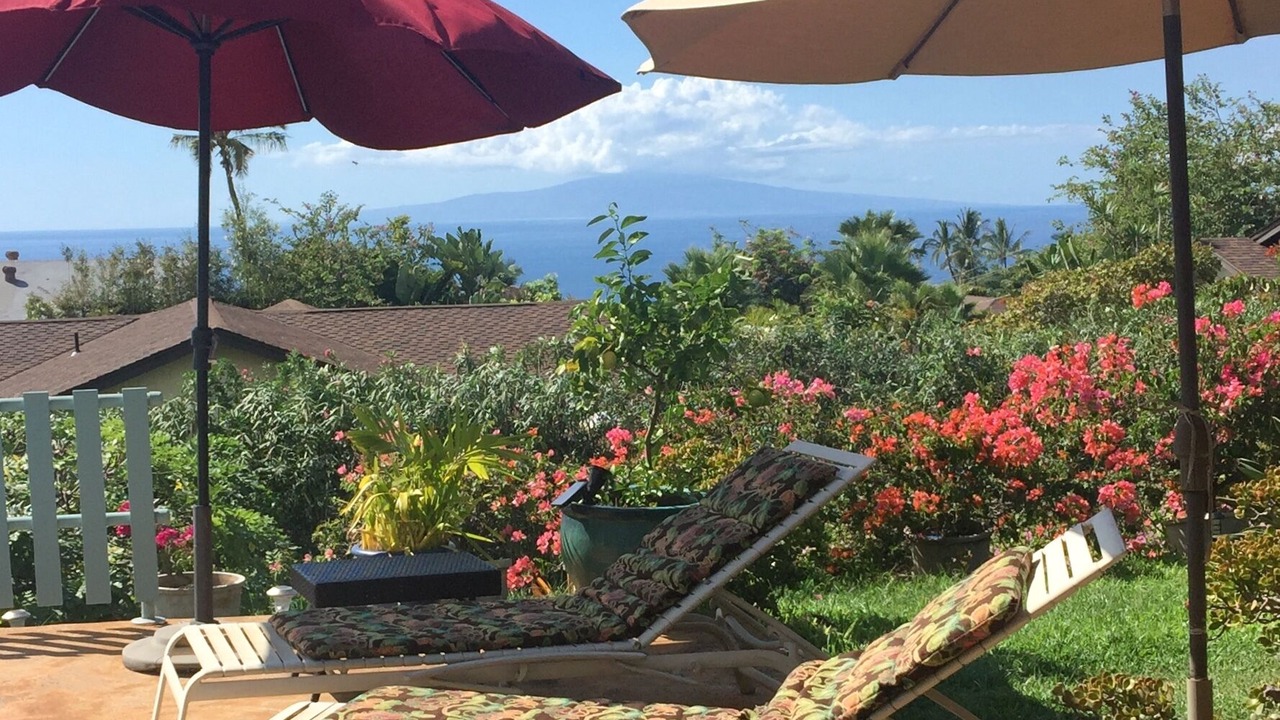 Photo of Outdoor in Wailea