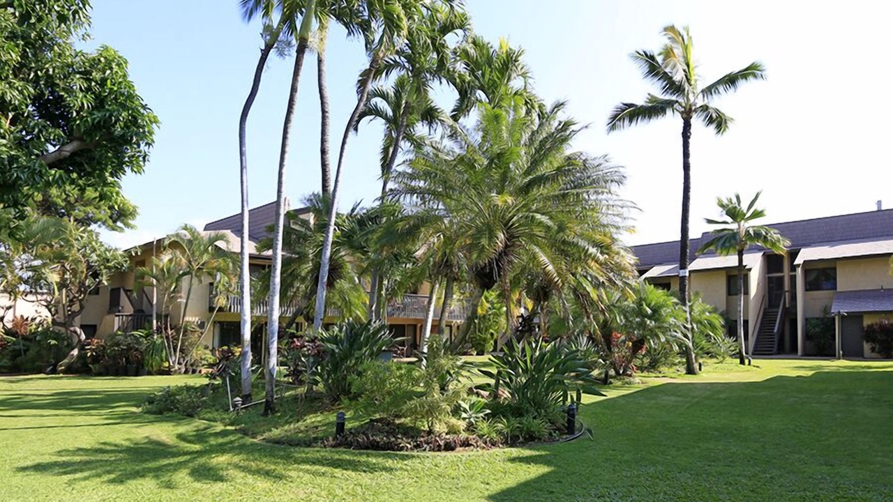 Photo of Outdoor in Kihei