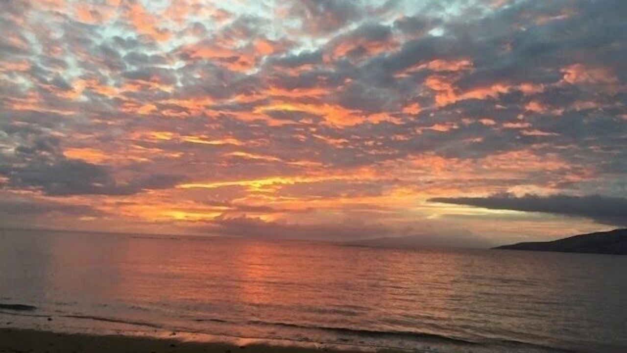 Photo of Others in Kihei