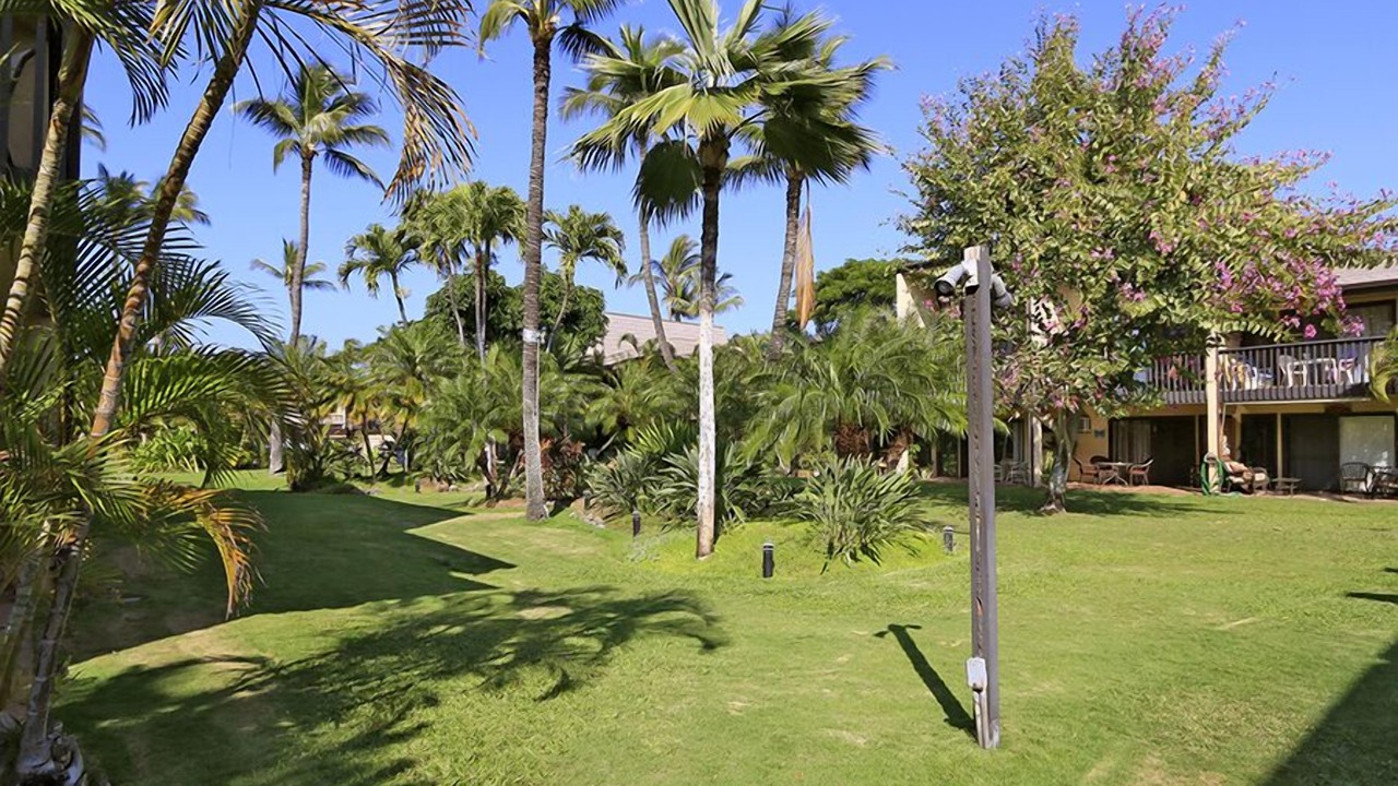 Photo of Outdoor in Kihei