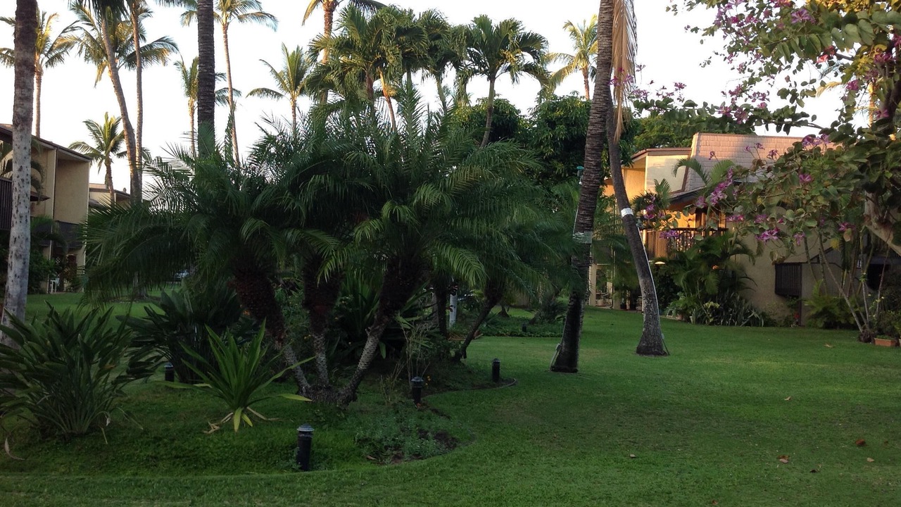Photo of Others in Kihei
