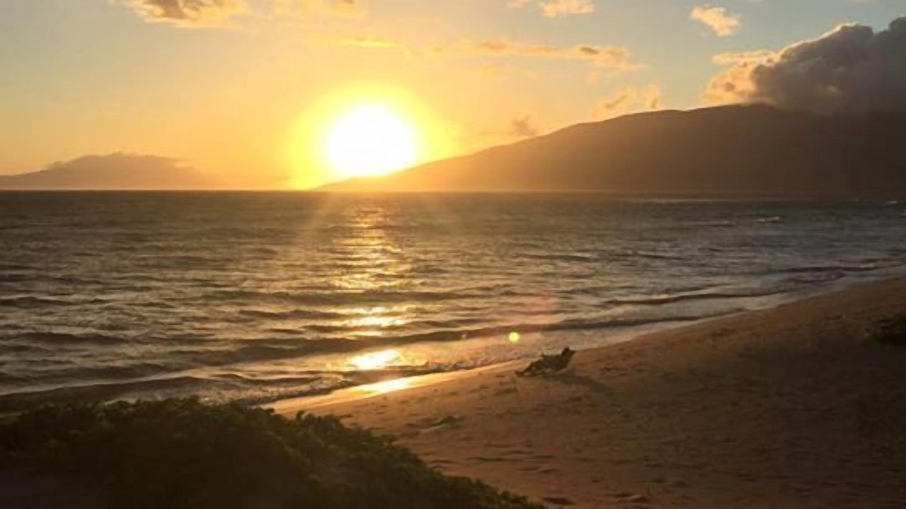 Photo of Others in Kihei