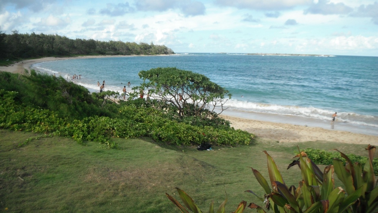 Photo of Others in Laie