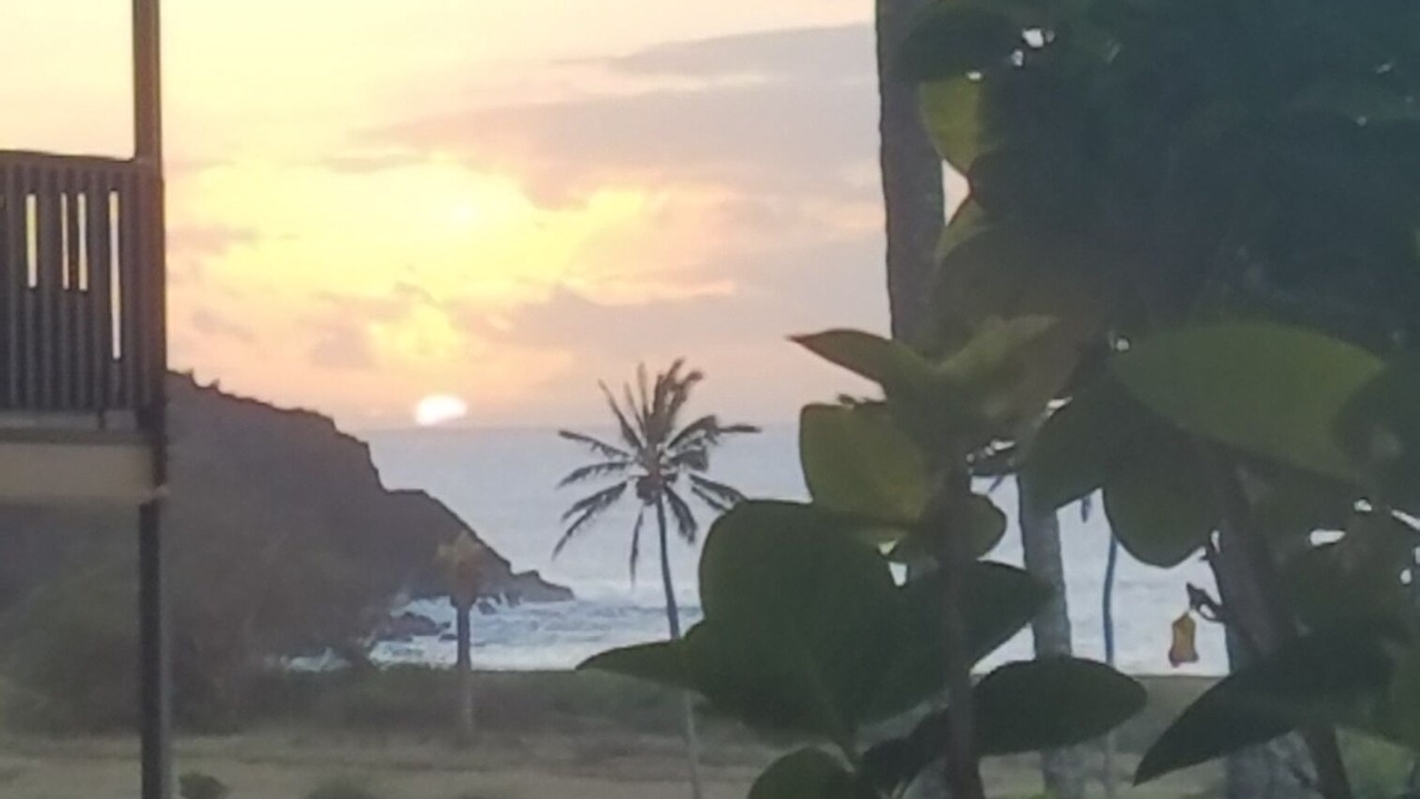 Photo of Others in Maunaloa