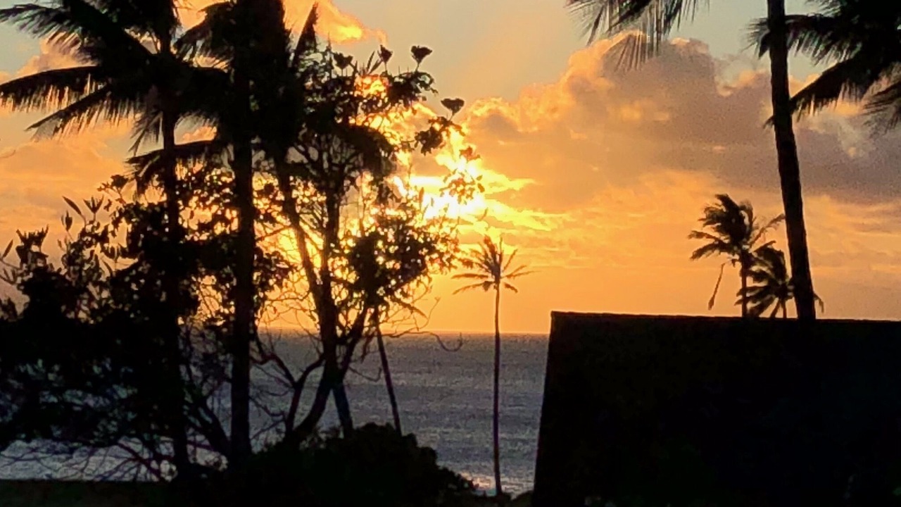 Photo of Others in Maunaloa