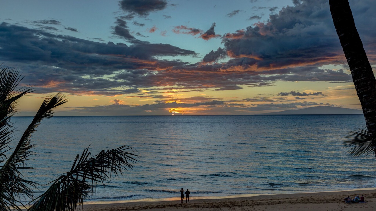 Photo of Others in Kihei