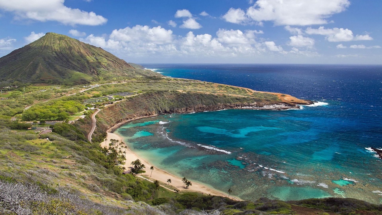 Photo of Others in Portlock