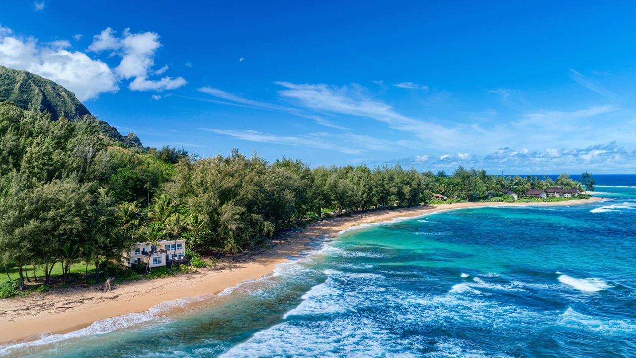 Photo of Others in Wainiha