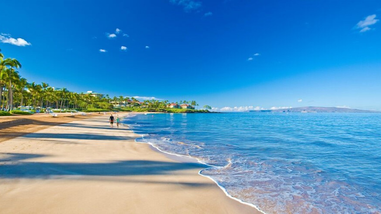 Photo of Others in Wailea