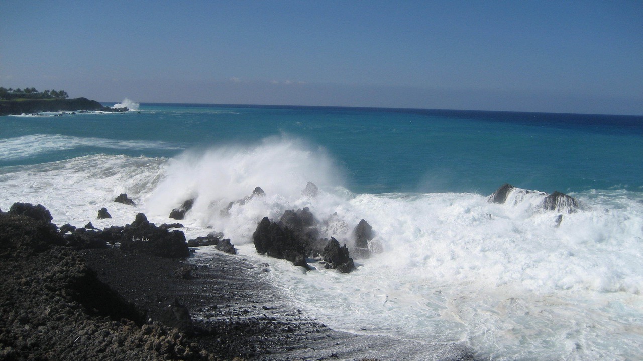 Photo of Outdoor in Kamuela