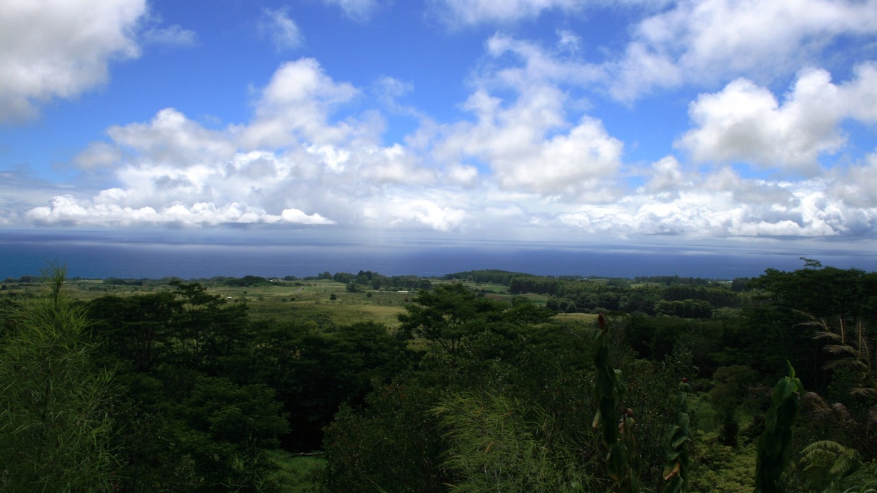 Photo of Others in Honomu
