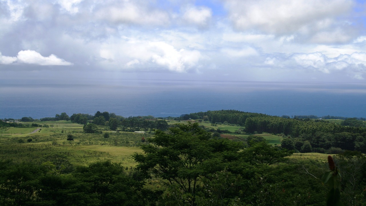 Photo of Others in Honomu