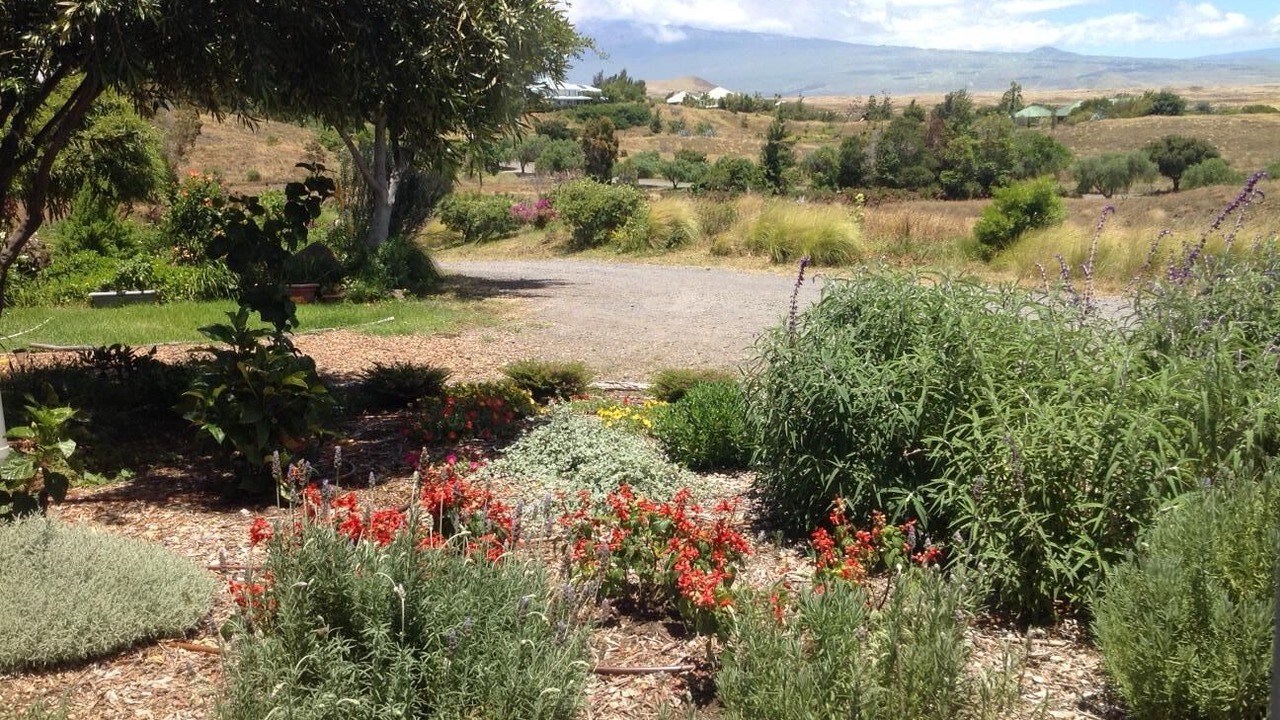 Photo of Outdoor in Kamuela