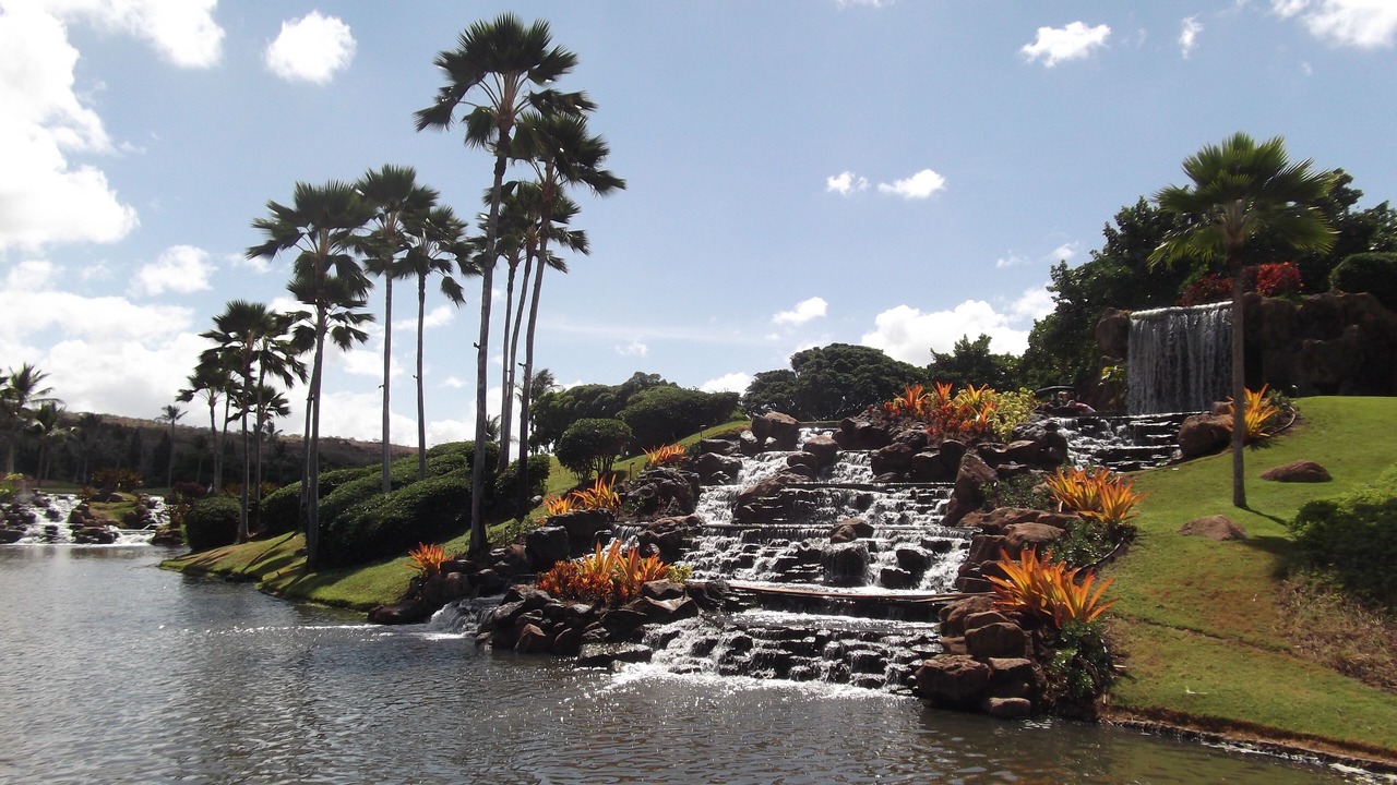 Photo of Others in Kapolei