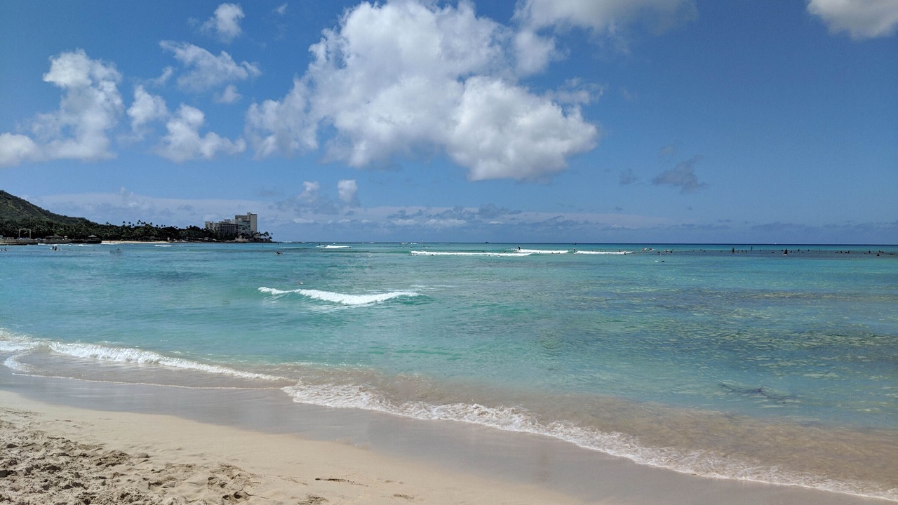 Photo of Others in Waikiki